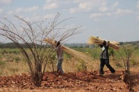 Malawi — Bognjen Photography