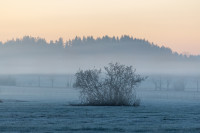 Nature — obft4741 — Bognjen