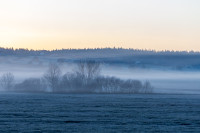 Nature — obft4754 — Bognjen