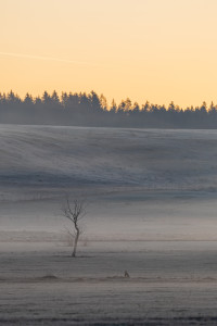 Nature — obft4760_hdr — Bognjen