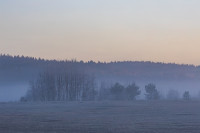 Nature — obft4764_hdr — Bognjen