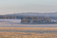 Nature — obft4770 — Bognjen