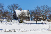 Traces of Winter Silence — img_8984 — Bognjen