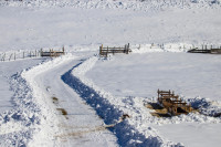 Traces of Winter Silence — img_8985 — Bognjen