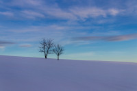 Traces of Winter Silence — img_9052 — Bognjen