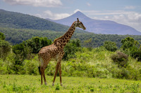 Tanzania